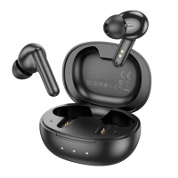Беспроводные Bluetooth наушники с кейсом Borofone BW48 Enlighten