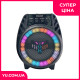 Портативна акустика ESS-108B з USB, SD, FM, Bluetooth