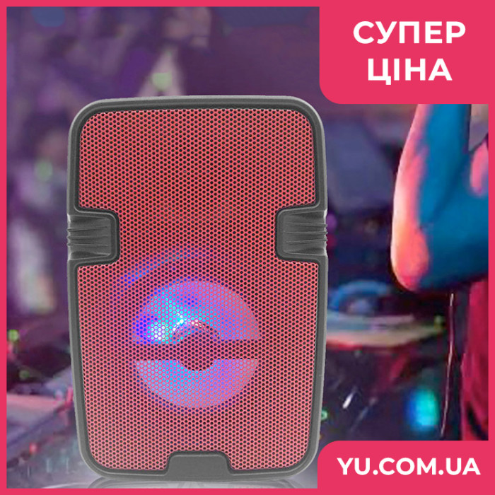 Колонка валіза ESS-110 USB, Bluetooth, FM
