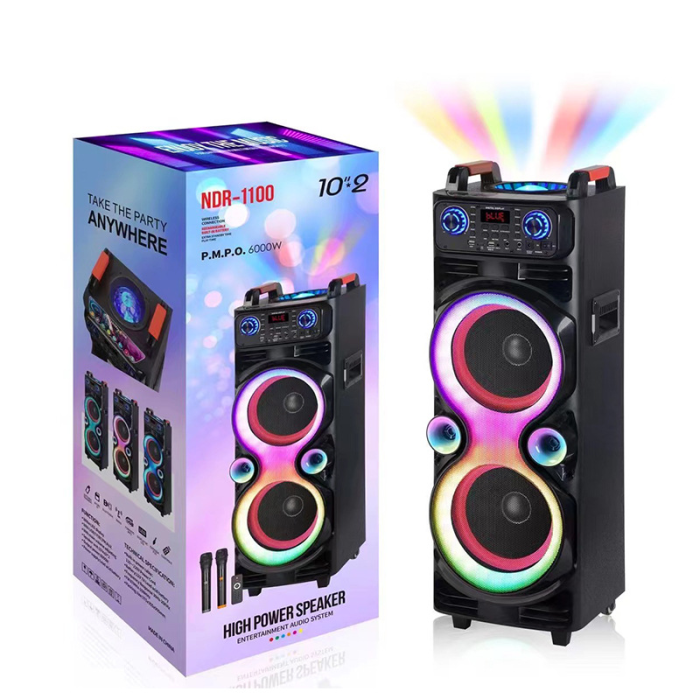 Портативна акустика NDR 1100 90см