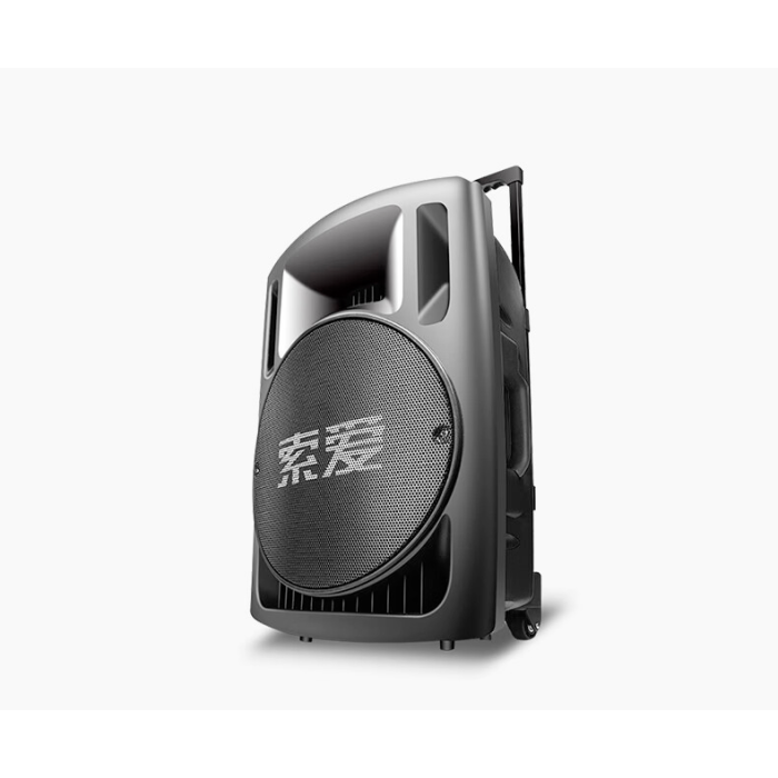 Портативна колонка Su-Kam BT 100D + 1 мікрофон 12v/220v