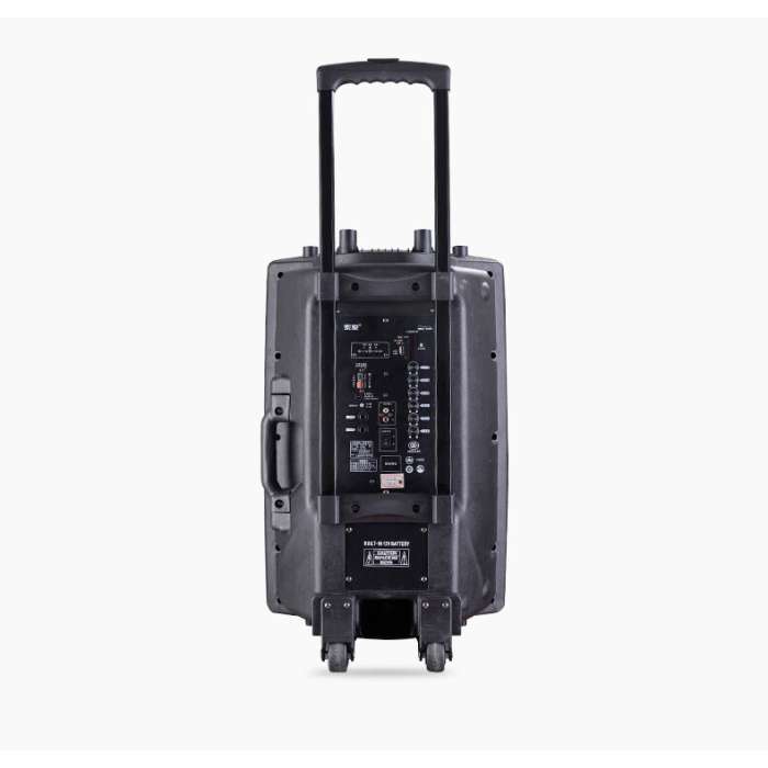 Портативна колонка Su-Kam BT 100D + 1 мікрофон 12v/220v