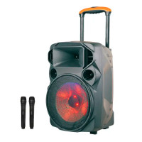 Автономная акустическая система ZXX-1209