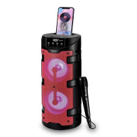 Автономная акустическая система Soonbox S4401