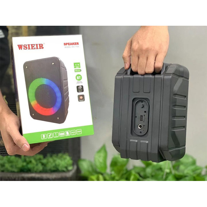 Автономна акустична система Wsieir WS-1109