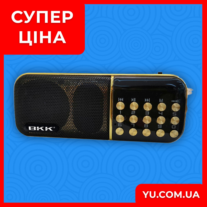 Кишеньковий радіоприймач BBK B851SS USB/MP3