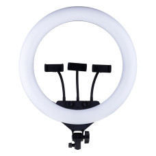 Кольцевая лампа Soft Ring Light M36E с 3 креплениями и пультом ДУ