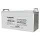 Акумулятор глибокого розряду AGM Raggie 12V 100Ah/20Hr