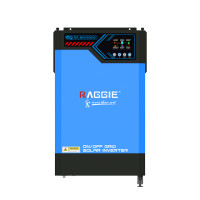 Інвертор із зарядним пристроєм для солнечних панелей Raggie RG-MH3600W 24V MPPT-120A