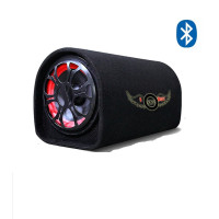Автомобільний сабвуфер ZX 5