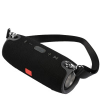 Портативна колонка Portable TG117