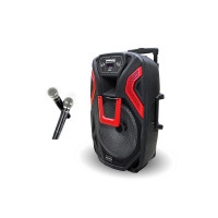 Автономная акустическая система ZXX-1503