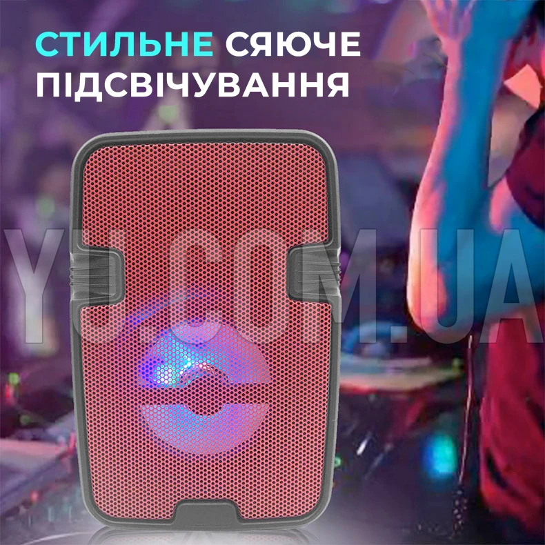 Колонка валіза ESS-110 USB, Bluetooth, FM Колонка валіза ESS-110 USB, Bluetooth, FM