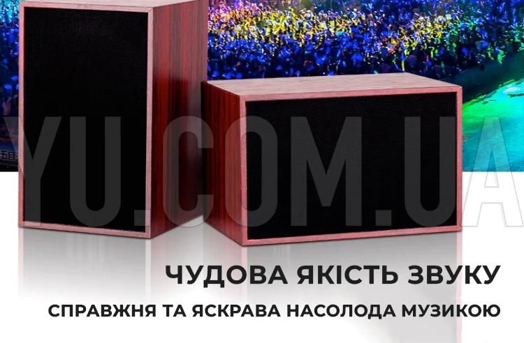 Музыкальные колонки для компьютера 2.0 FT-101 Музыкальные колонки для компьютера 2.0 FT-101