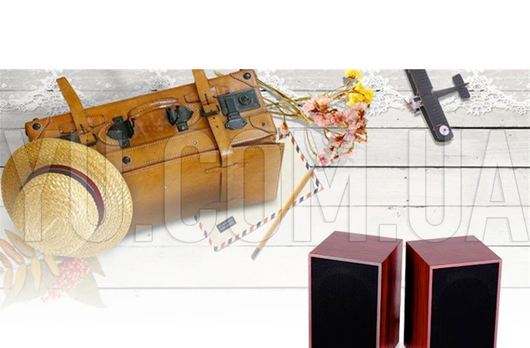 Музыкальные колонки для компьютера 2.0 FT-101 Музыкальные колонки для компьютера 2.0 FT-101