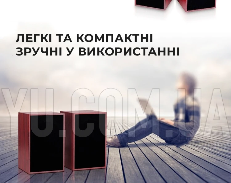 Музыкальные колонки для компьютера 2.0 FT-101 Музыкальные колонки для компьютера 2.0 FT-101