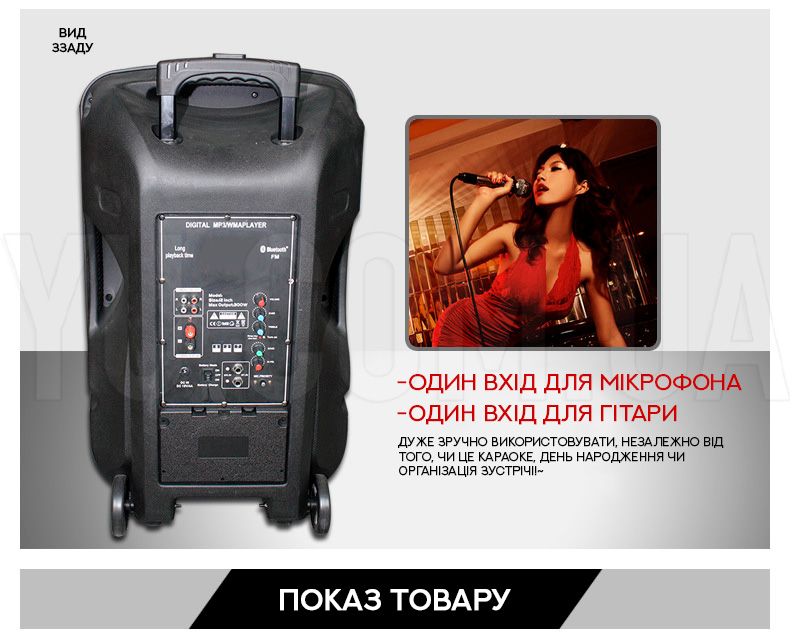 Автономна акустична система ZXX-1503 Автономна акустична система ZXX-1503