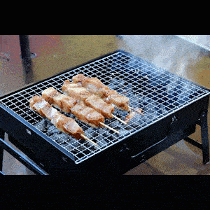 Складной гриль BBQ Grill Portable